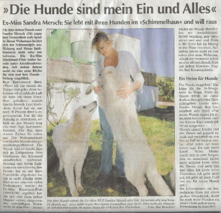 Über meine Liebe zu Hunden